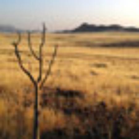 La Tranquera Parrila